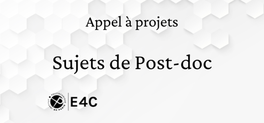 AAP E4C - Post-Doc 2026