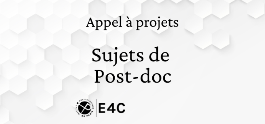 Appel à projet - Post-Doc