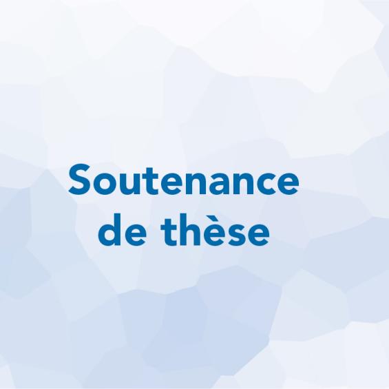 Soutenance de thèse 
