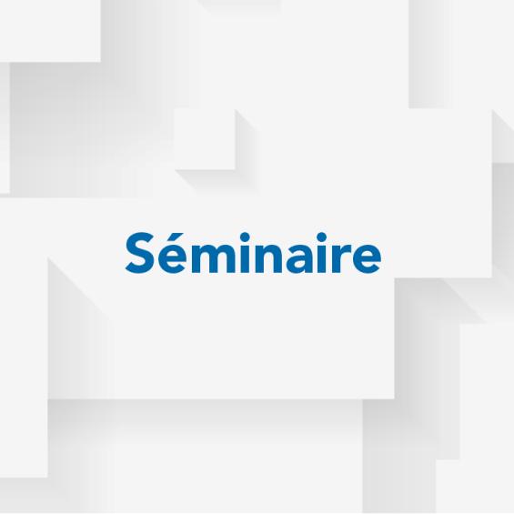 International Summit on Organic and Hybrid Perovskite Solar Cells Stability