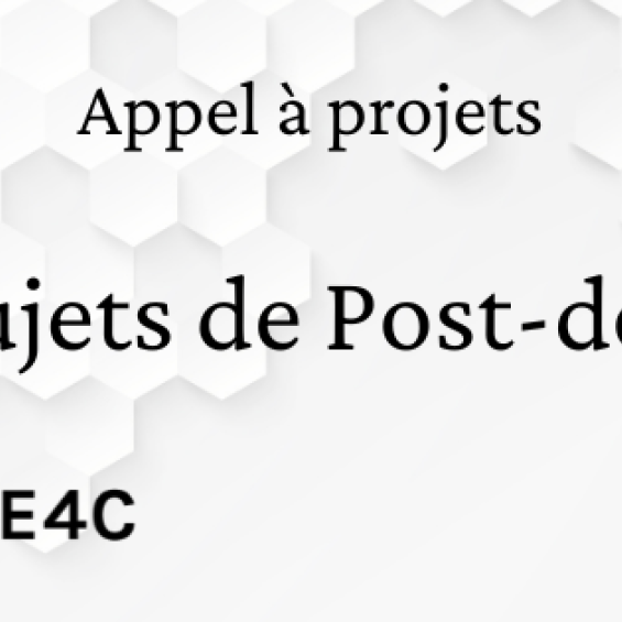 AAP E4C - Post-Doc 2026 (Sujets)