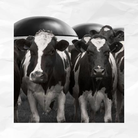 Comment la subvention du biogaz peut-elle être maintenue malgré l'effet rebond ?